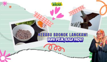 181125_Langkawi_bronok