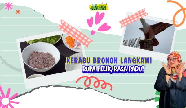 181125_Langkawi_bronok