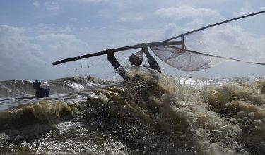 Aktiviti menyauk ikan belanak dan ia biasanya bermula pada November, dan berakhir Januari atau Februari/foto BERNAMA