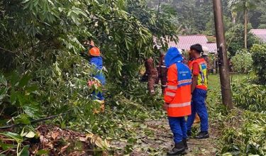 1904 KES PRK APM POKOK TUMBANG New