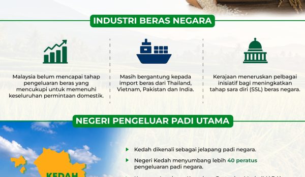 1905 BERAS TEMPATAN VS IMPORT 1
