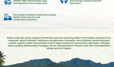 1905 BERAS TEMPATAN VS IMPORT 3