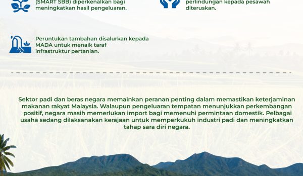 1905 BERAS TEMPATAN VS IMPORT 3