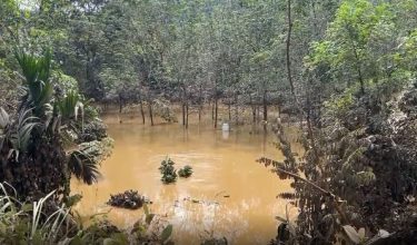 Banjir di Rancangan Kemajuan Tanah (RKT) Kesedar Lebir di Gua Musang, Kelantan