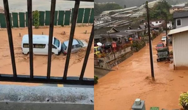 2004 CAMERON BANJIR
