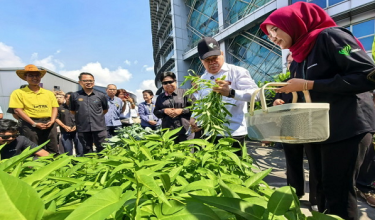 Datuk Seri Mohamad Sabu memetik sayur-sayuran selepas melancarkan Pusat Informasi Pertanian Kebuniti
