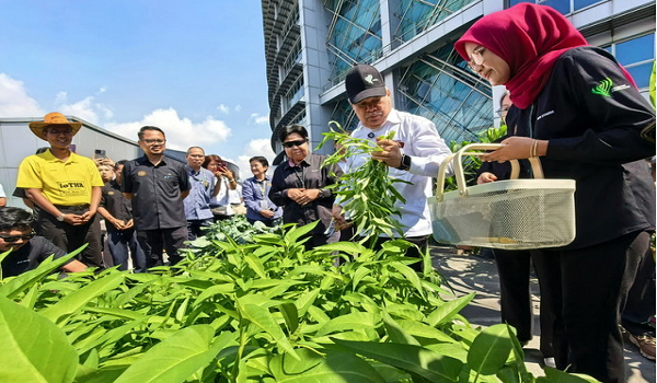 Datuk Seri Mohamad Sabu memetik sayur-sayuran selepas melancarkan Pusat Informasi Pertanian Kebuniti