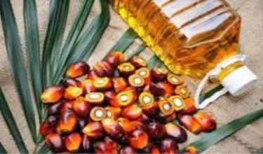 Prestasi pengeluaran CPO yang lebih baik, didorong harga pasaran yang kekal kukuh.