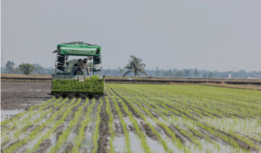 2306 NSL SEL PESAWAH NELAYAN
