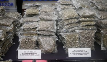 Sebahagian ganja yang dirampas dalam operasi banteras sembilan sindiket pengedaran dadah/Foto Polis Selangor
