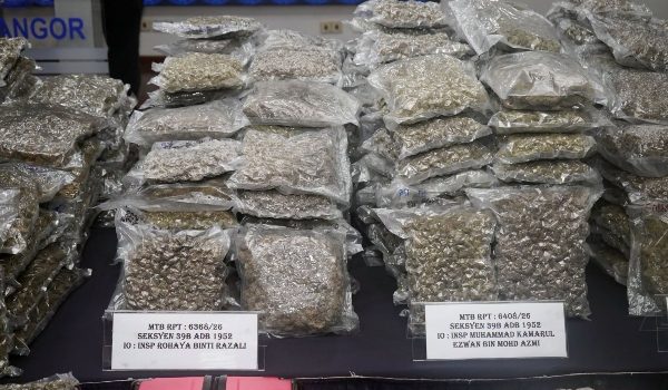 Sebahagian ganja yang dirampas dalam operasi banteras sembilan sindiket pengedaran dadah/Foto Polis Selangor
