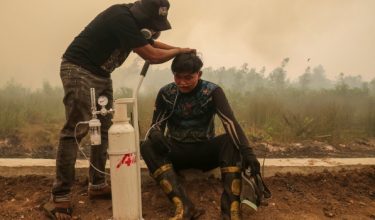 2310 LNR INDONESIA KES PERNAFASAN