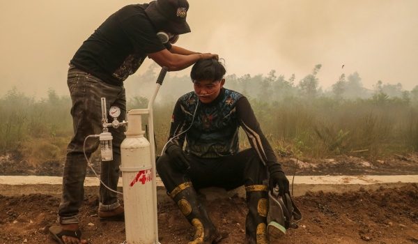 2310 LNR INDONESIA KES PERNAFASAN