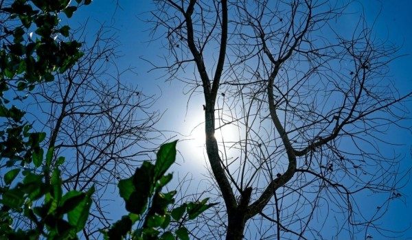 Foto BERNAMA