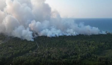 Kebakaran hutan simpan bakau di Kampung Baru, Kuala Abang, Dungun jejas 1,000 penduduk.