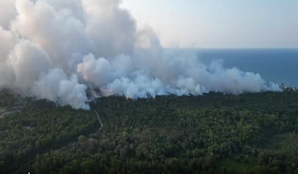 Kebakaran hutan simpan bakau di Kampung Baru, Kuala Abang, Dungun jejas 1,000 penduduk.
