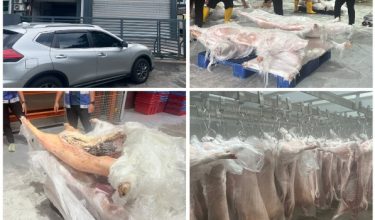 Premis penyimpanan makanan sejuk beku di Skudai, Johor digempur pihak berkuasa/Foto Polis
