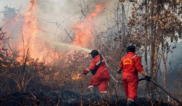 Kebakaran hutan di Indonesia mencetuskan jerebu di rantau Asia Tenggara. - Foto AFP