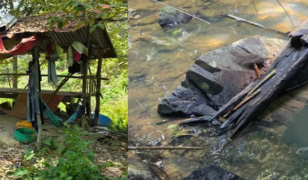 Foto IPD GUA MUSANG