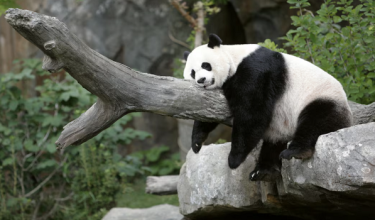 Foto REUTERS