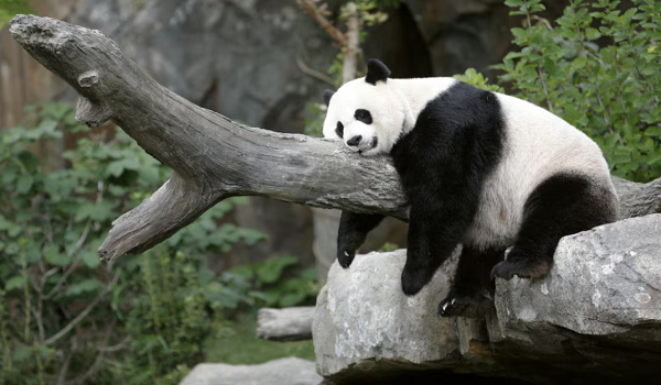 Foto REUTERS