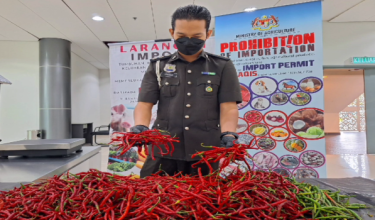 Cubaan seludup cili segar tanpa permit import sah menggunakan laluan penumpang feri ketika pemeriksaan penumpang dari Indonesia di Terminal Feri Antarabangsa ICQS Melaka