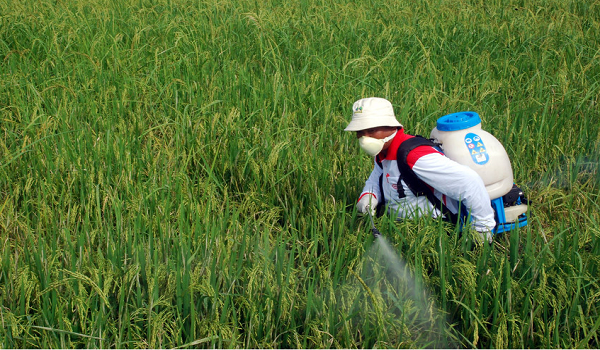Tinjauan mendapati bekalan air di kawasan sawah mula pulih