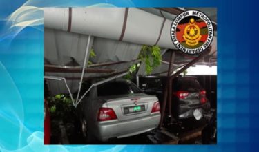2506 NSL POKOK TUMBANG RIBUT