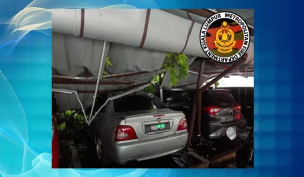 2506 NSL POKOK TUMBANG RIBUT