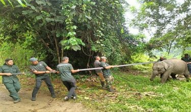 Foto Facebook Jabatan PERHILITAN Semenanjung Malaysia