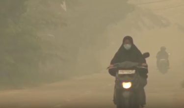 2509 LNR INDONESIA KEBAKARAN HUTAN