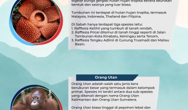 251125-SABAH-FLORA-DAN-FAUNA