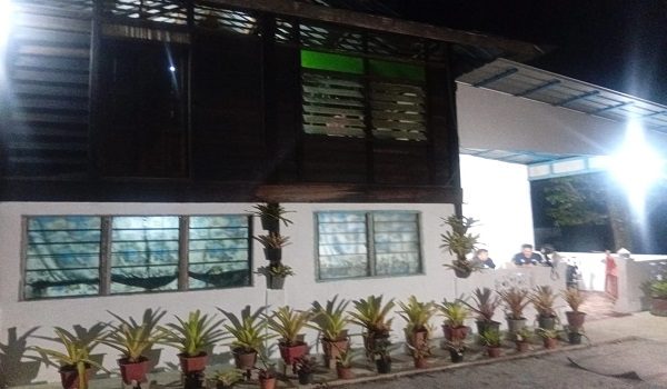 2603 TIGA BERANAK MATI