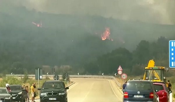 Kebakaran hutan yang melanda berhampiran bandar Delvine di selatan Albania/ REUTERS