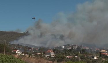 Perkhidmatan helikopter digunakan untuk memadam kebakaran hutan di Palaia Fokaia/ REUTERS