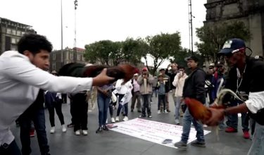 Peserta protes di Mexico City/ REUTERS