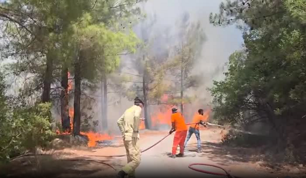 Anggota bomba bertungkus-lumus memadam kebakaran hutan di Sogut, Antalya, Turkiye.