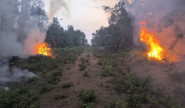 Kebakaran kebun sawit dan longgokan kayu di Tanjung Agas berjaya dipadam sepenuhnya selepas tiga hari operasi pemadaman/Foto Bomba