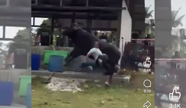 Kejadian kerbau untuk ibadah korban tiba-tiba bertindak liar kawasan Batu 19, Kampung Sungai Tiram, Ulu Tiram