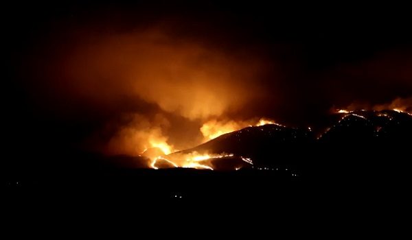 Kebakaran hutan di selatan Albania semakin merebak susulan angin kencang dan suhu tinggi/ REUTERS