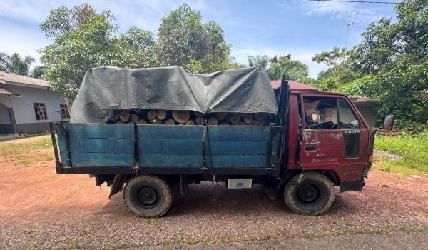2807 PGA KAYU