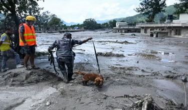 Foto AFP