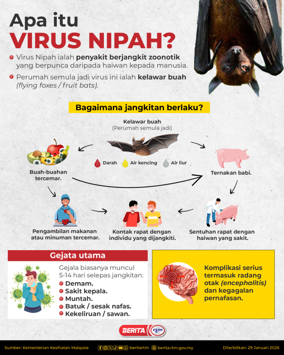 2901 VIRUS NIPAH 01