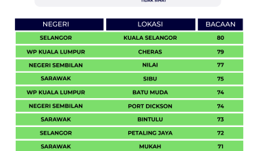 2907-indeks-IPU-8-PAGI