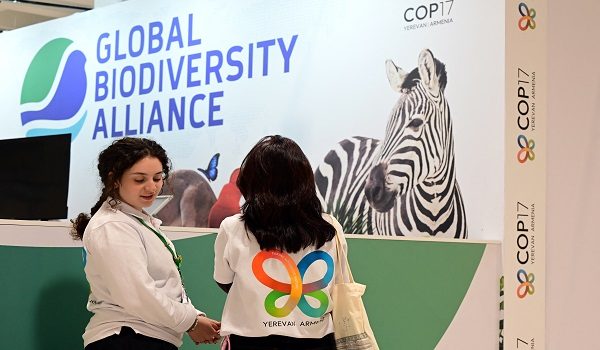 Foto AFP