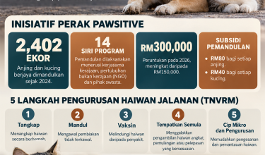 2910_PEMANDULAN HAIWAN JALANAN