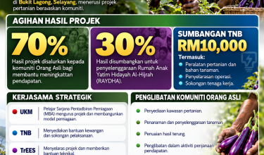 2910_PROJEK TANAMAN TERUNG