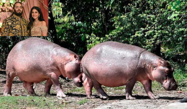 3004 LNR ANBANI BADAK ESCOBAR