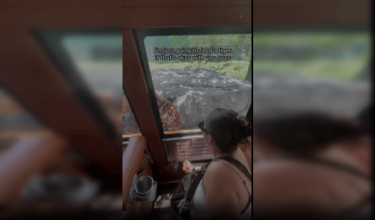 Ashell memilih pakej pengalaman premium yang membolehkan pelawat memberi makan haiwan eksotik secara langsung termasuk harimau.