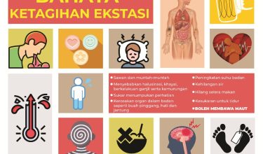 3101-EKSTASI